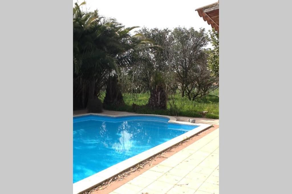 Villa Loft: Garden Retreat with Private Pool Sestu Exterior photo